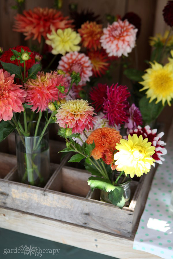 Summer flowering bulbs in vases placed in a wooden crate