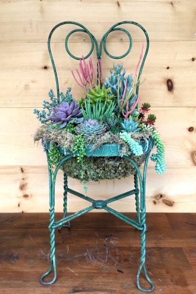 How to Make a DIY Succulent Chair Planter