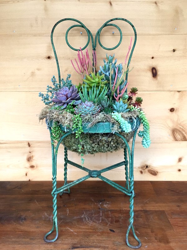 How to Make a DIY Succulent Chair Planter