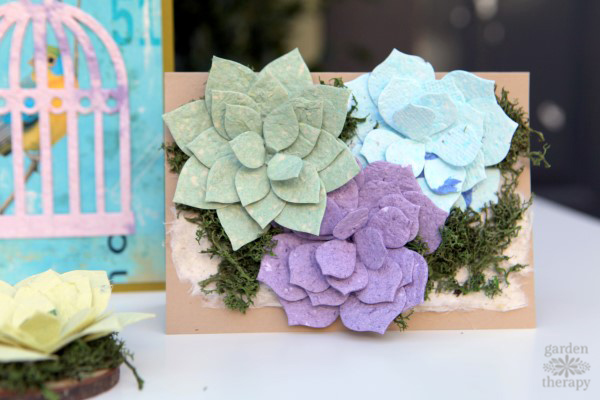 Seed paper succulents greeting card