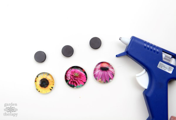 How to make magnets from the gorgeous photos in seed catalogs