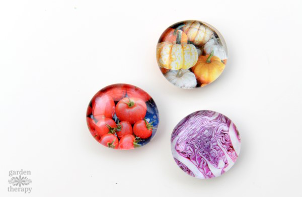 How to make magnets from the gorgeous photos in seed catalogs