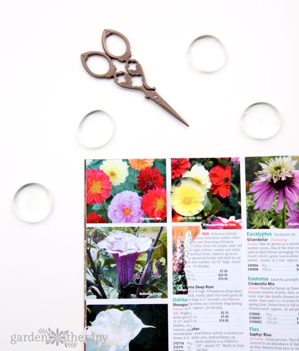 How to make magnets from the gorgeous photos in seed catalogs