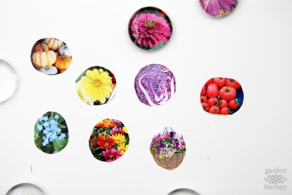 How to make magnets from the gorgeous photos in seed catalogs