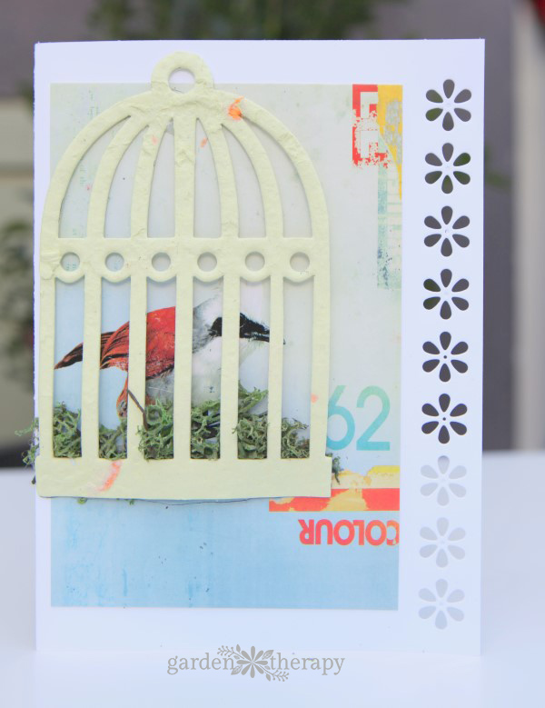Card Design Ideas for using homemade seed paper