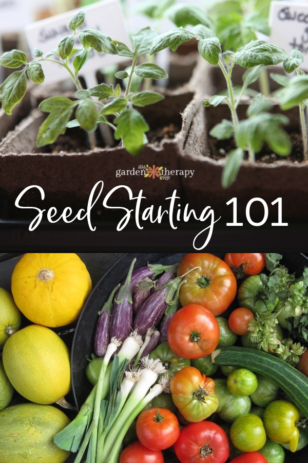 Seed Starting 101 - Garden Therapy