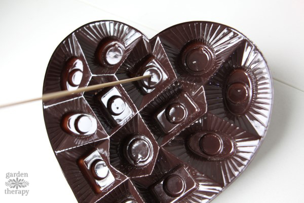 poking holes into the heart plastic tray using a bamboo skewer