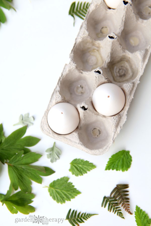 How to use eggshells in the garden