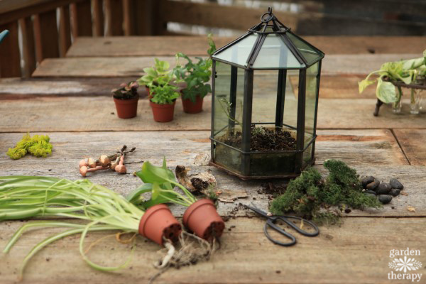 Give a terrarium a makeover every few years to keep it looking beautiful.