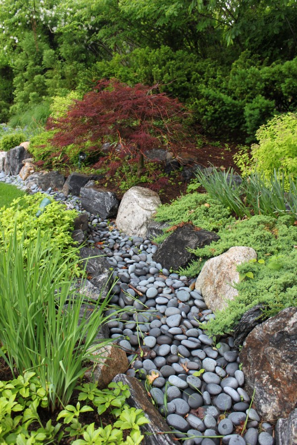  Dry stream rock garden.