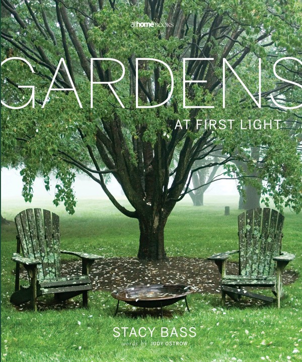 Gardens at First Light by Stacy Bass