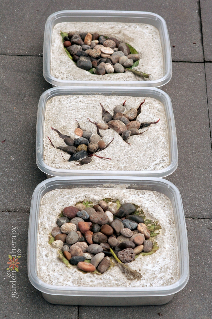 Leaf-Print-Stepping-Stones.jpg