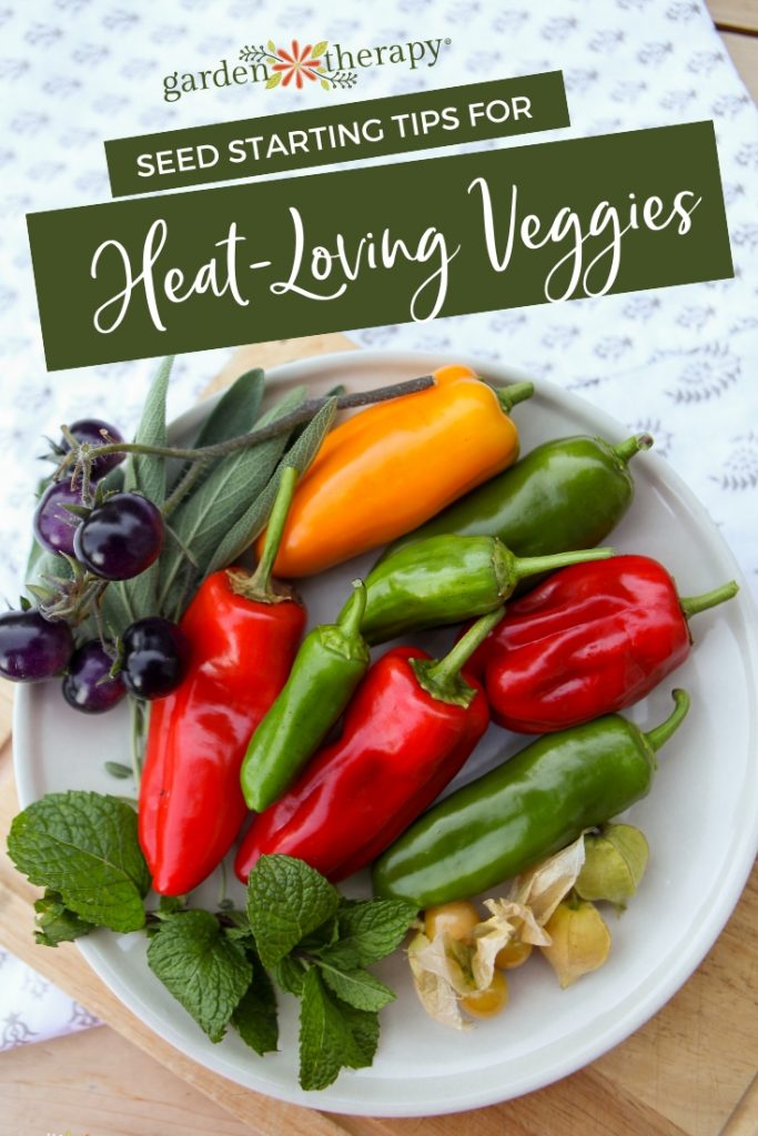 Seed Starting Tips for Heat loving Vegetables