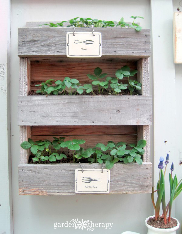 vertical strawberry planter