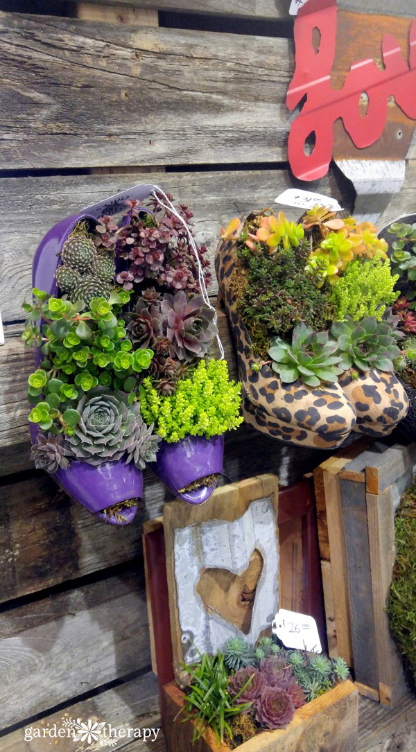 shoe succulent planters