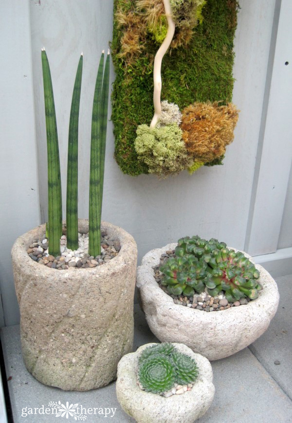 refined hypertufa planters