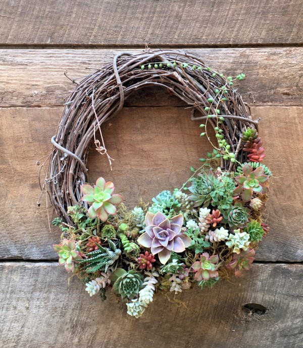 Succulent wreath on a grapevine form - on a wooden table