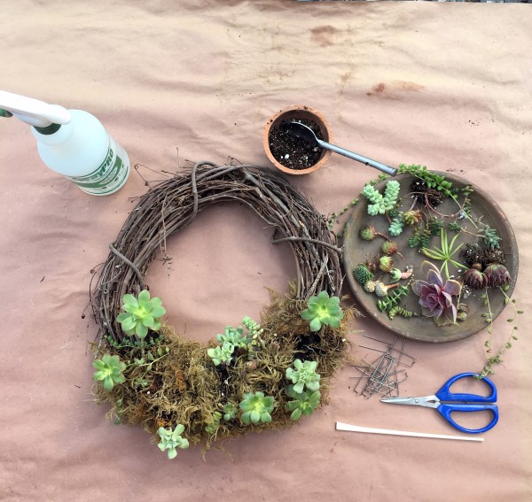 How To Refresh A Succulent Wreath Garden Therapy