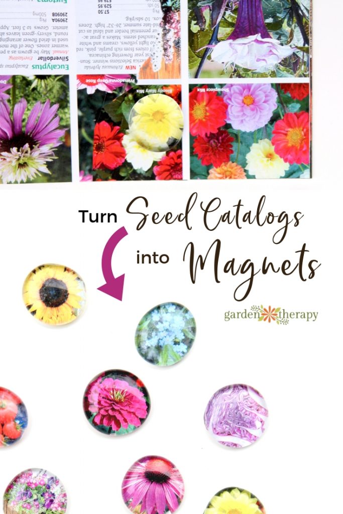 Turn Seed catalogs into Fridge Magnets