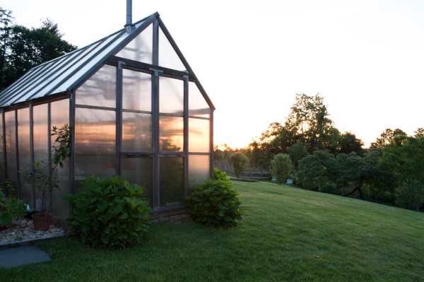 Greenhouse at sunrise, photographed by Stacy Bass