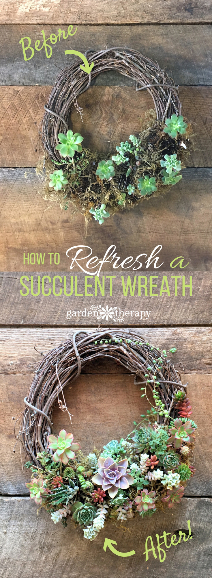 Refresh a succulent wreath with these tips.