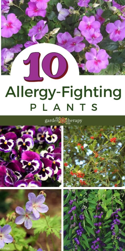 10 Allergy Fighting Plants