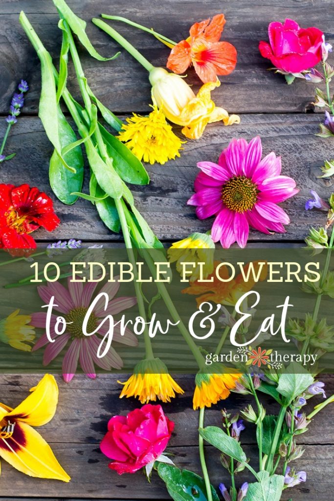 colorful edible flowers on a wooden table