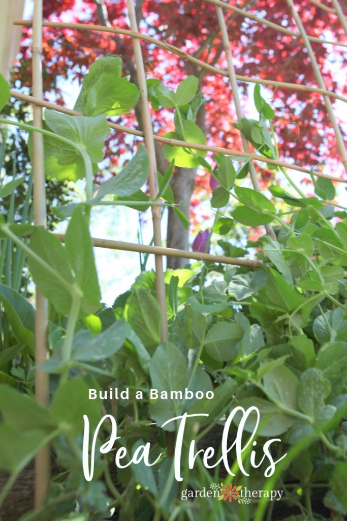 How to Make a DIY Bamboo Trellis