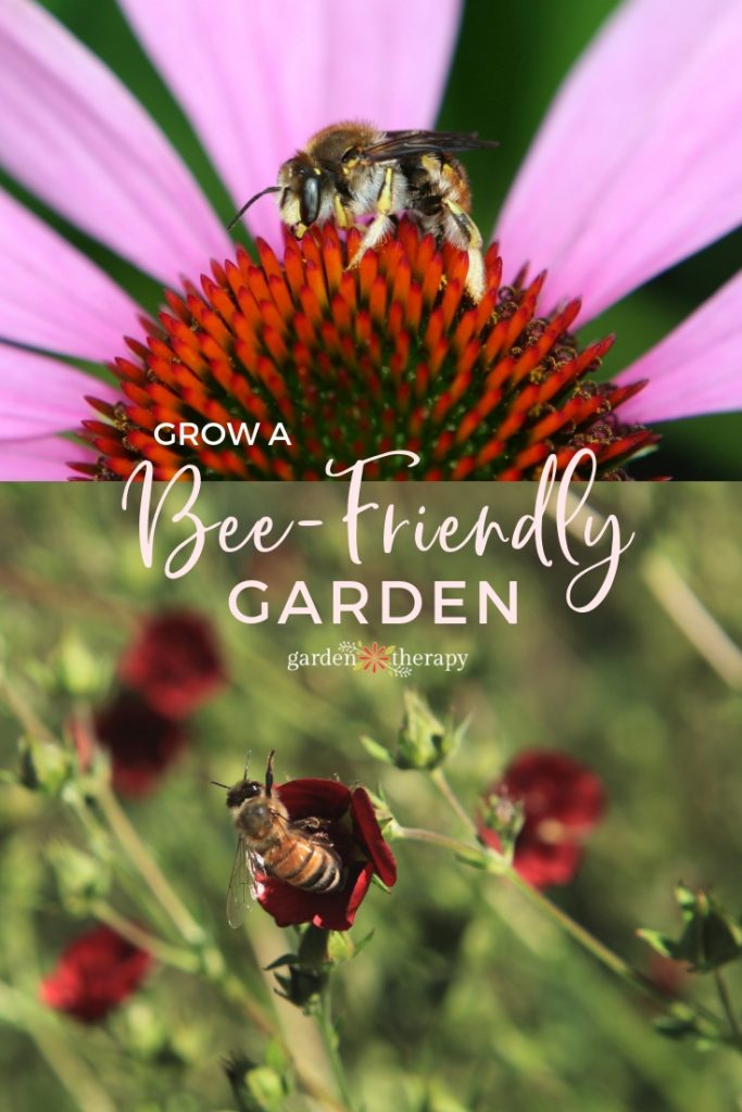 Grow flowers for bees in a bee-friendly garden