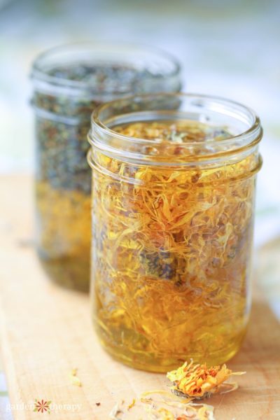 Herbal Oils Infusing for Soap making