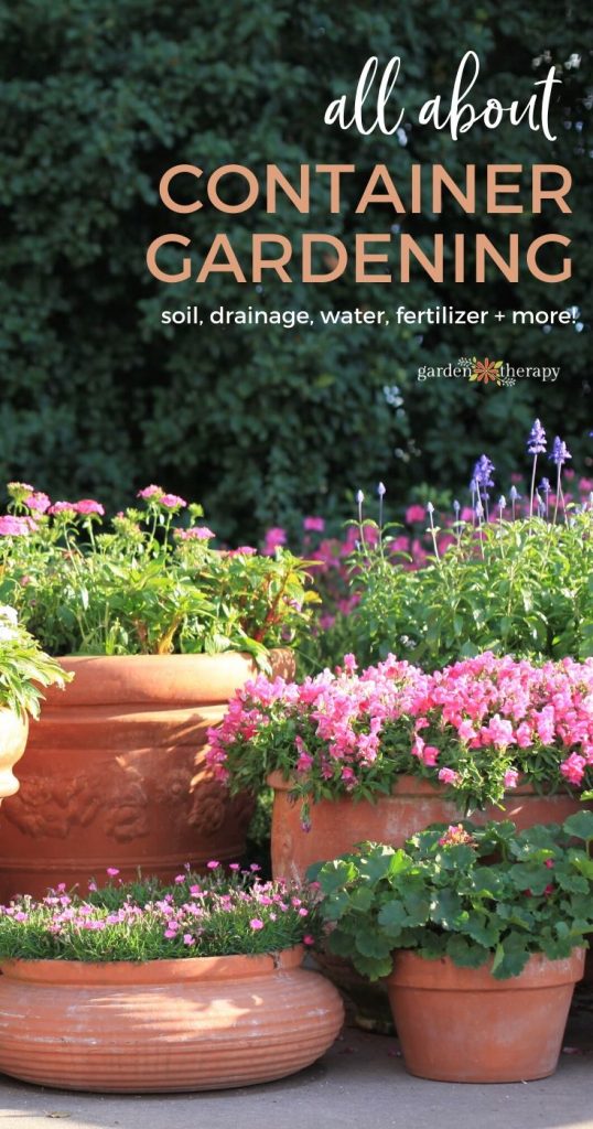 Everything You Need to Know About Container Gardening