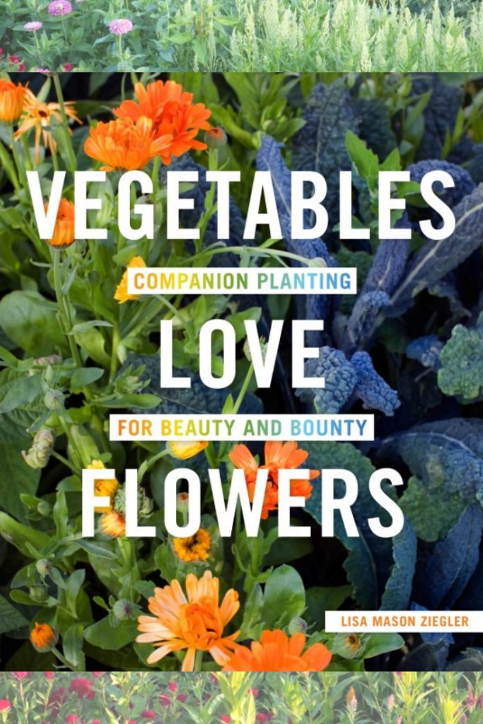 Vegetables Love flowers