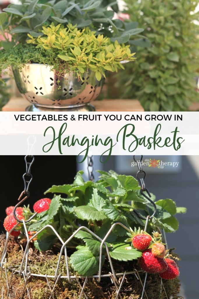 Grow Vegetables in Hanging Baskets - FineGardening