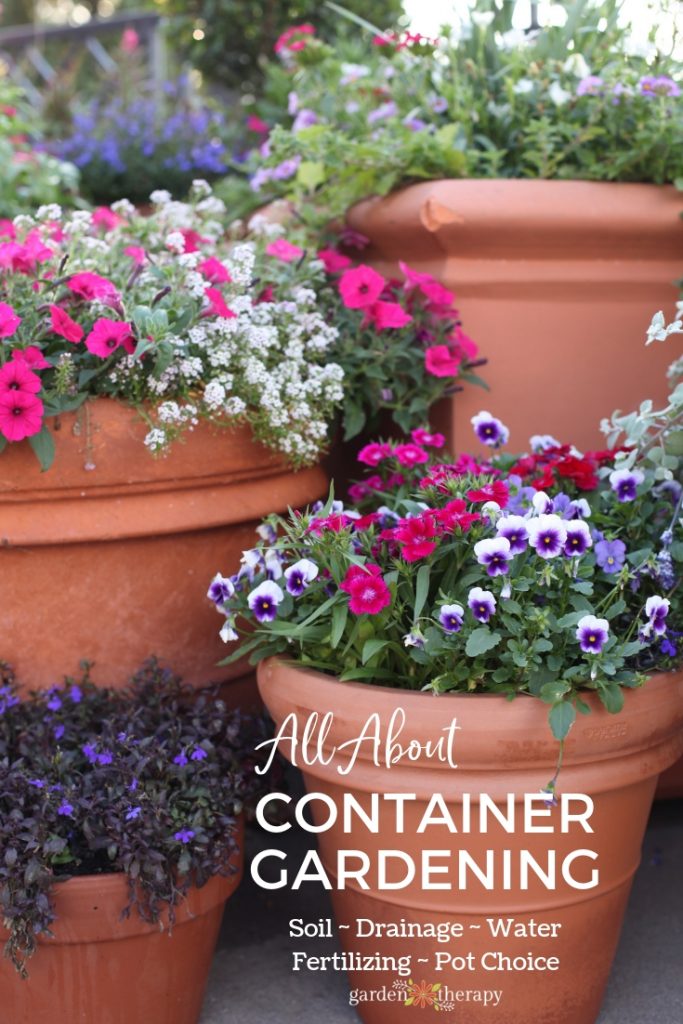 All About Container Gardening  The Steps to Grow 