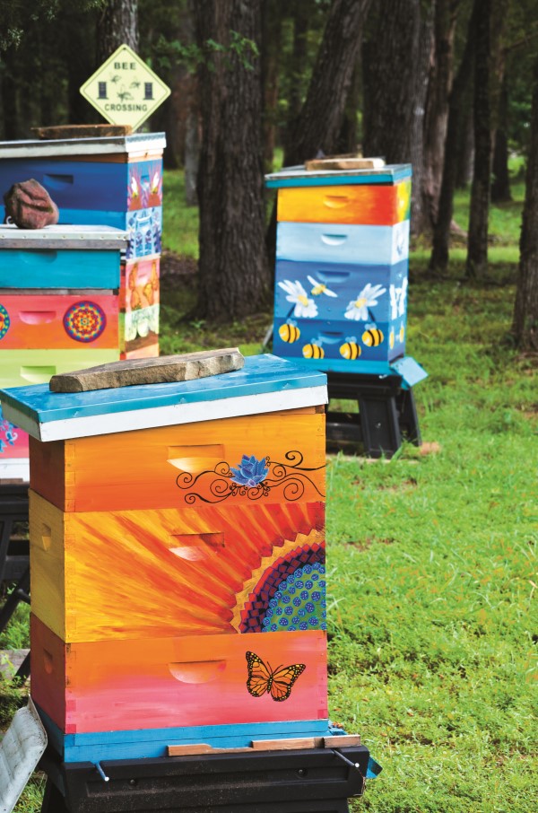 painted apiary