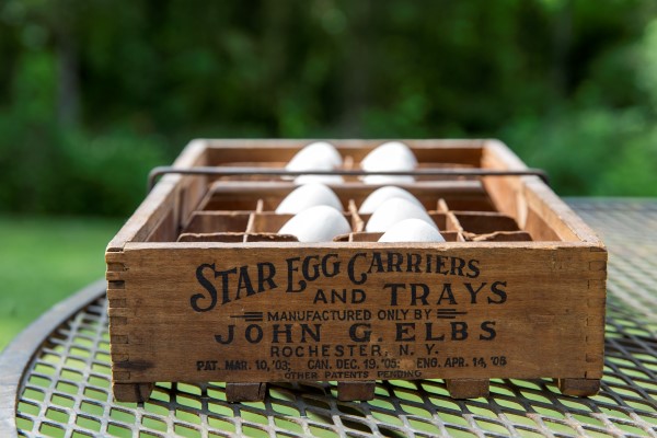 eggs in a wooden tray for urban homesteading