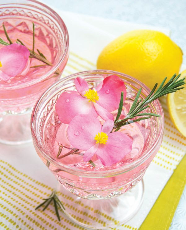 Pink Lady cocktail with begonia and rosemary