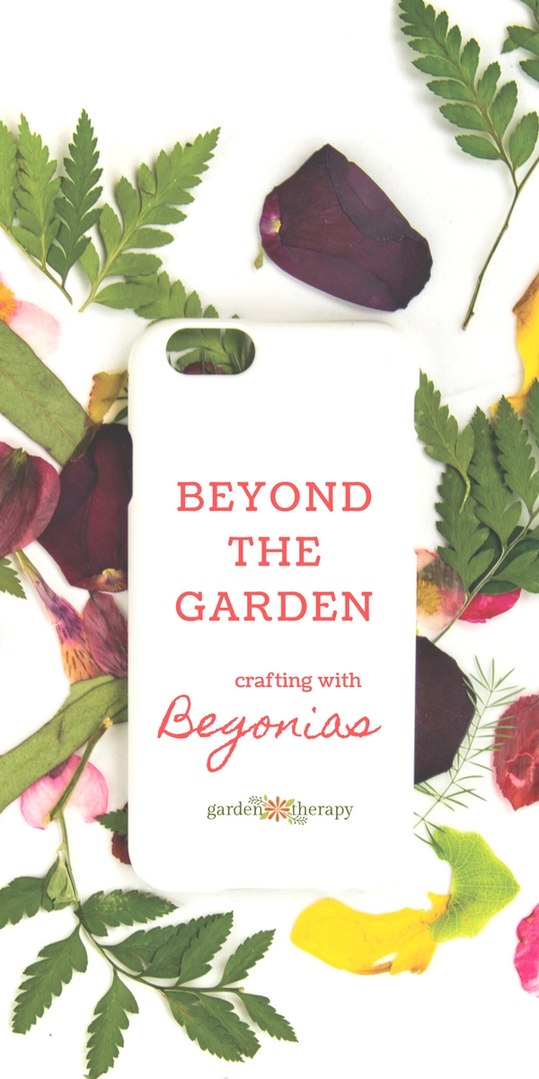 Get creative with Benary's BIG Begonias