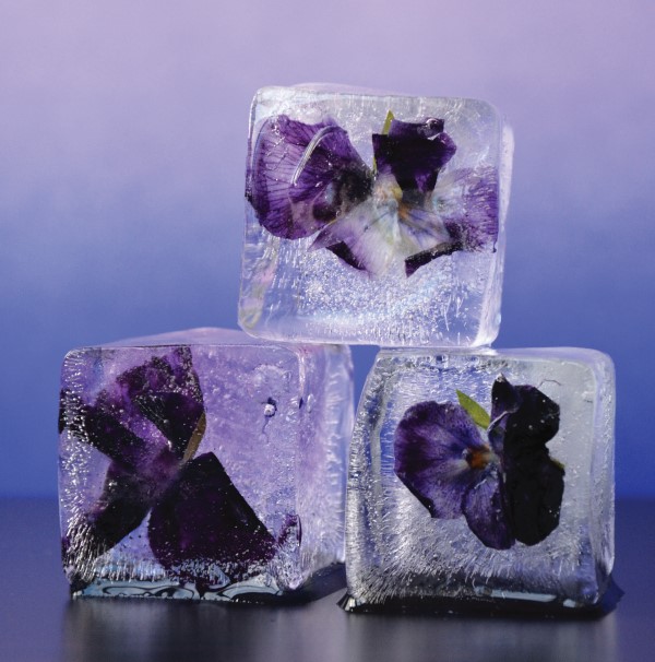 edible flower ice cubes