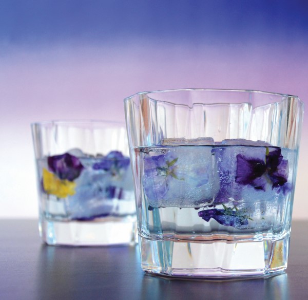 Cocktails with floral ice cubes