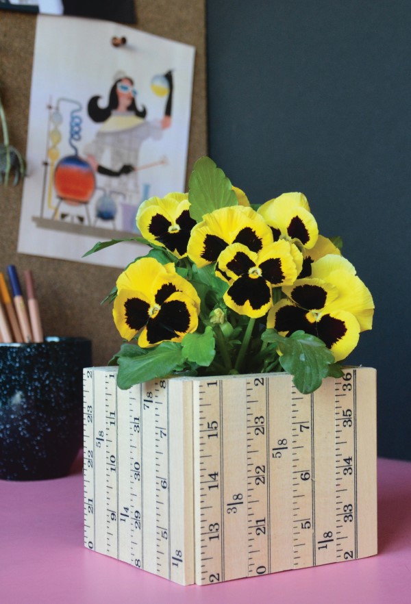 Customize a planter with rulers
