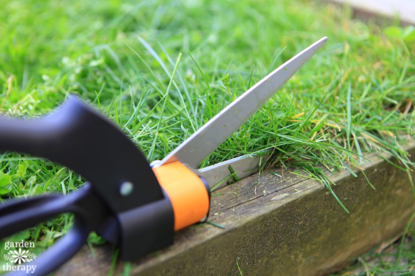 Lawn Care Unplugged: How to Use a Reel Mower - Garden Therapy