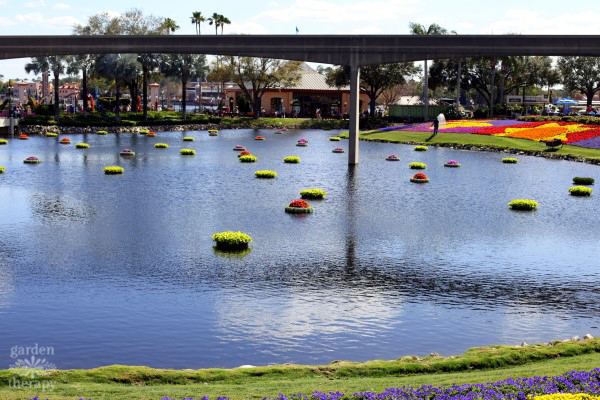 DIY pond planters