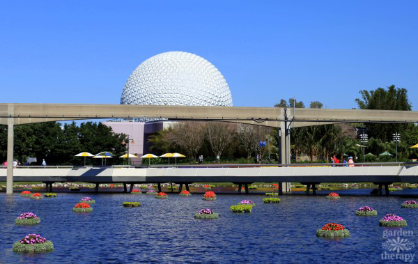 Floating planters at Epcot