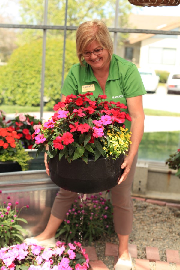 SunPatiens planter