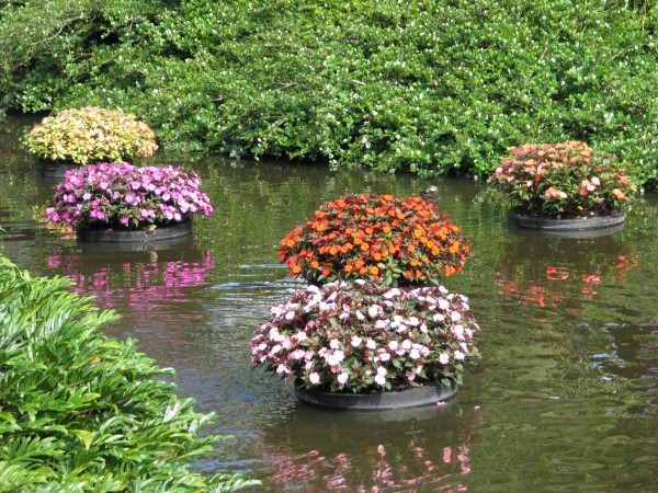 floating planters for a pond