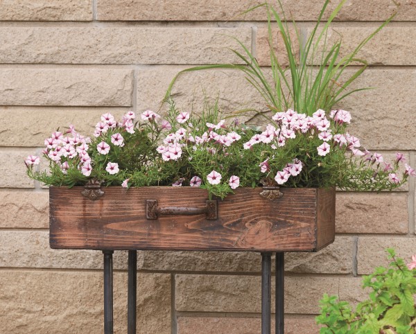 Planting an upcycled suitcase raised bed