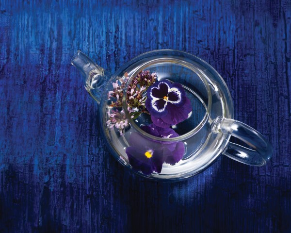 pansy tea