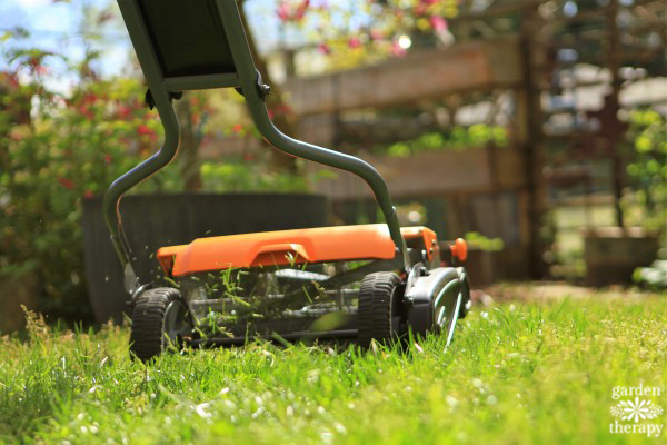 Reel mower online maintenance