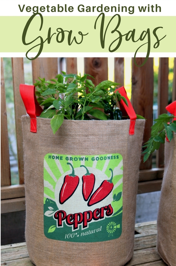 Vegetable-Gardening-in-Grow-Bags